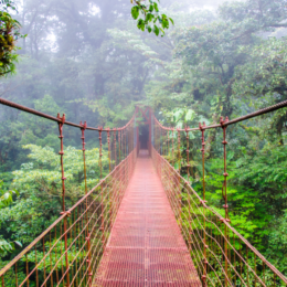kostaryka wiszący most